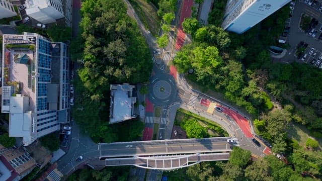 Busy urban roundabout surrounded by buildings and lush greenery.