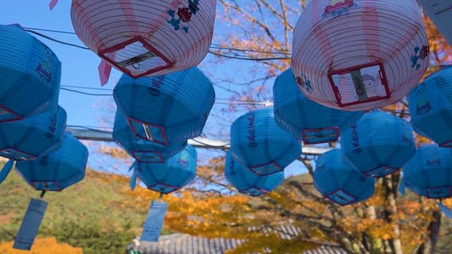 Colorful lanterns adorning a traditional temple