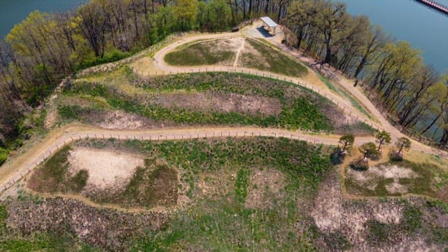 Serene lake surrounded by lush forests