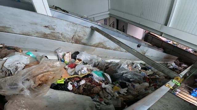 Sorting garbage on a conveyor belt in a recycling facility