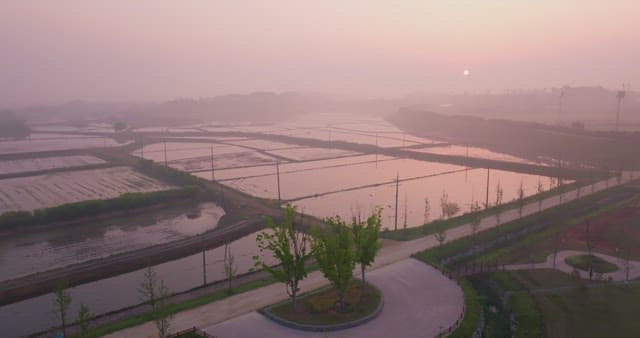 Sunset over serene rice fields