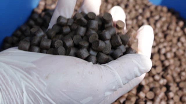 Plastic Blue Bin Full of Fish Feed