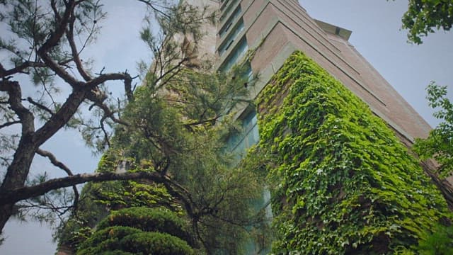 High-rise building covered with blue ivy