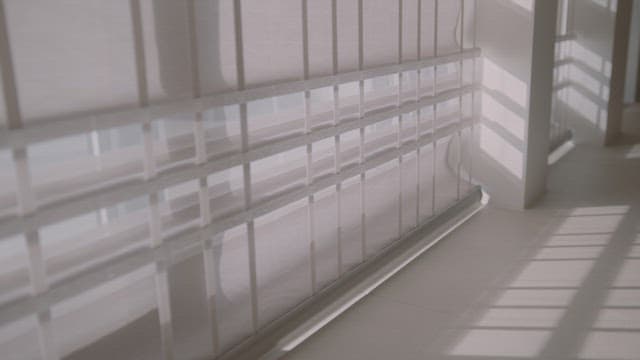 Sunlight filtering through window blinds