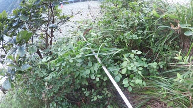 Steel Safety Cable on the Rugged Path