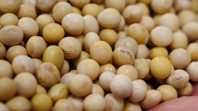 Changes in Boiled Beans