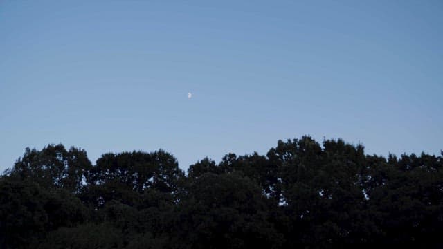 Serene Evening Sky with Halfmoon