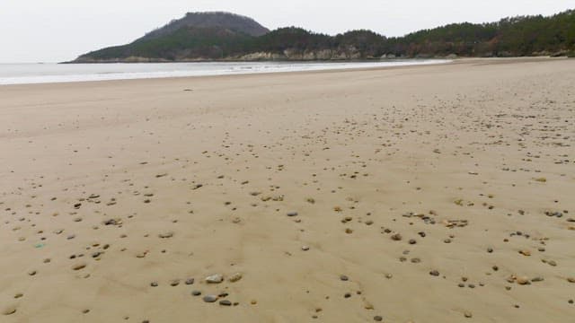 Tranquil beach with gentle waves
