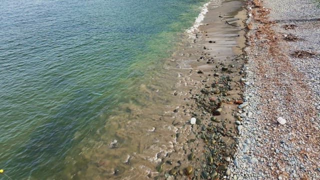 Serene beach with gentle waves