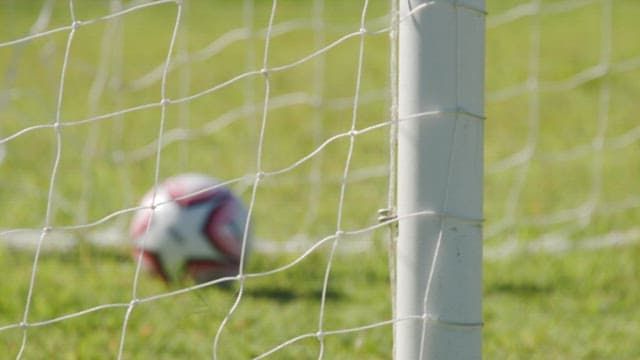 Soccer ball near the goalpost on grass