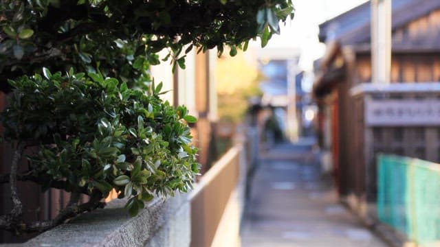 Quiet alley with traditional houses