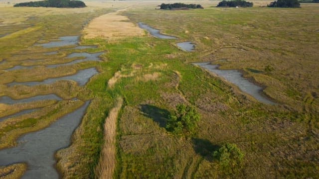 Scenery of wide open fields