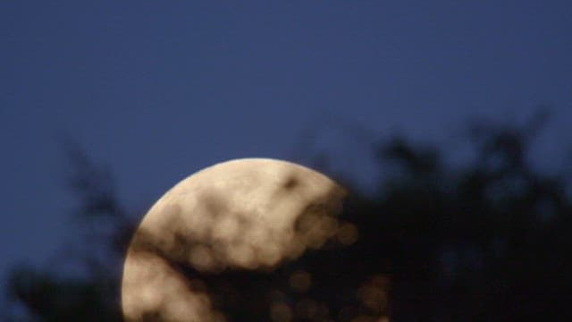 Round Moon Rising in the Night Sky