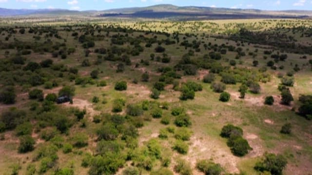 Aerial View of a Vehicle in a Vast Savannah