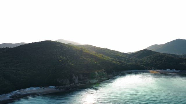 Serene beach with surrounding forest