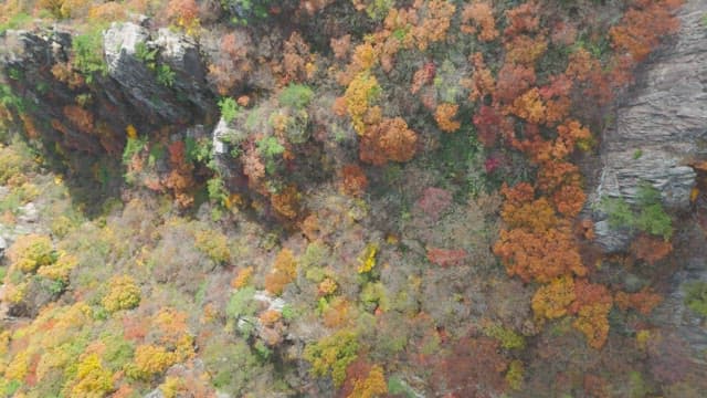 Colorful autumn forest on rocky cliffs