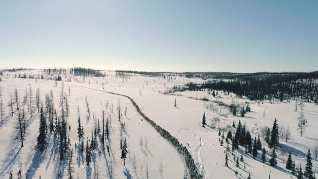 Snow-covered Landscape with Winding Path