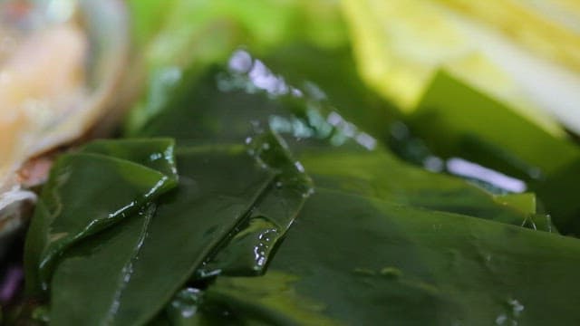 Fresh abalone and sea mustard on a plate