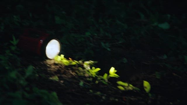 Digging in the Ground in the Dark Night with a Flashlight