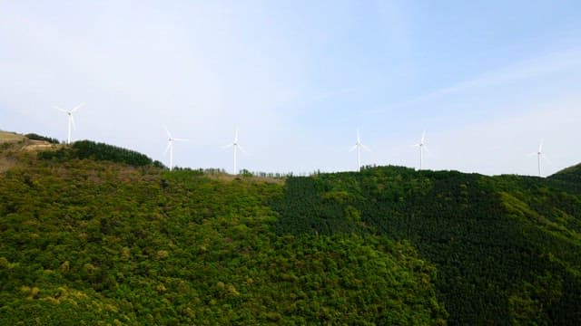 Wind turbines installed on a forested mountain under a blue sky