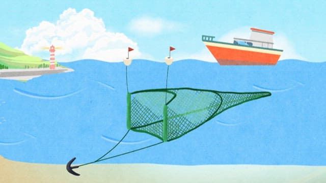 Animated film of fish being caught in a net at sea