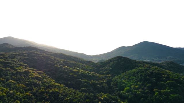Mountainous landscape with lush green forests