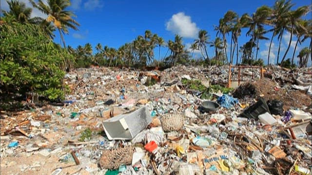 Polluted Tropical Beach with Trash Accumulation