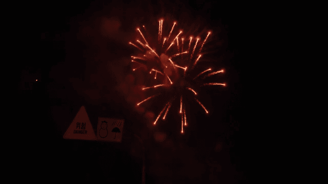 Fireworks lighting up the night sky