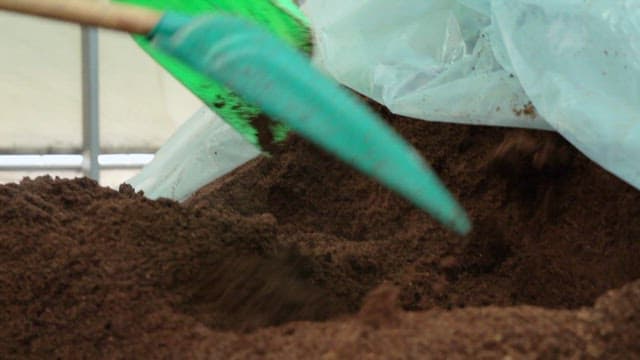 Shoveling soil in a greenhouse with a green shovel