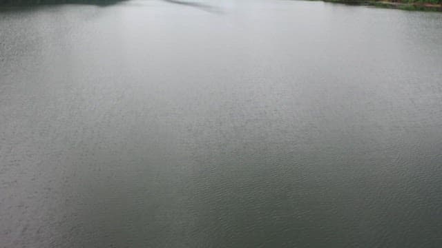 Serene lake surrounded by fog and lush mountains on a cloudy day
