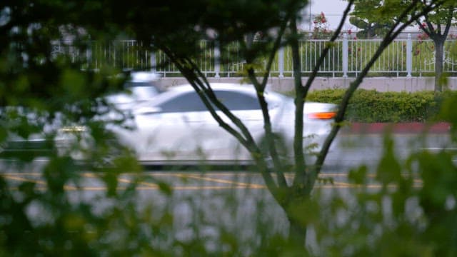 Cars and motorcycles passing on a cloudy day through trees and bushes