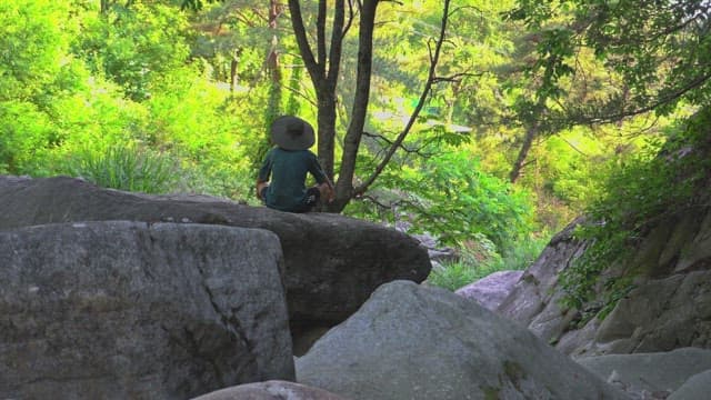 Person resting on a rock in a forest