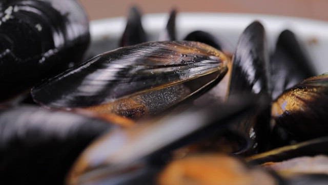 Fresh mussels with glistening shells