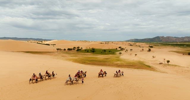 Camel caravan crossing a vast desert