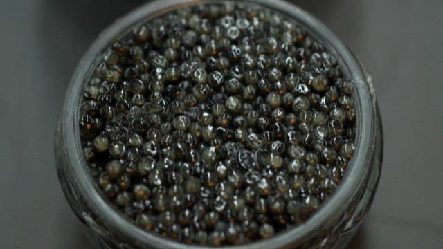 Close-up of Sturgeon Caviar in a Tin