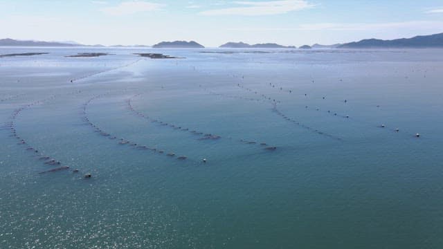 Calm sea with aquaculture farms