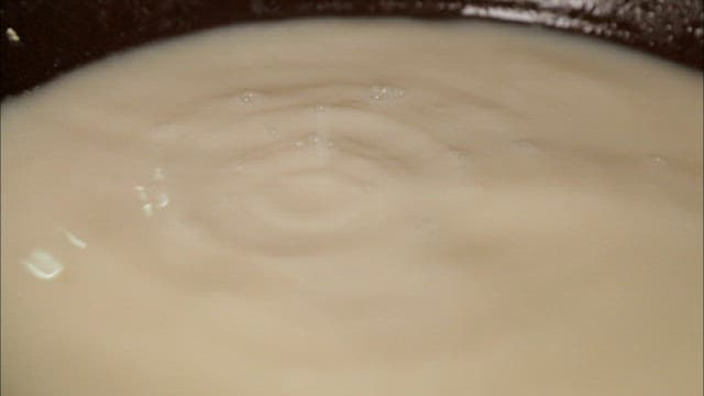 Traditional fermented food made with leaven