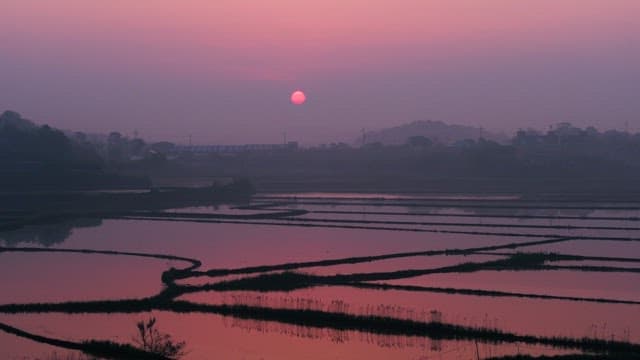 Sky and Tranqil Paddy Fields Dyed Red by the Sunset