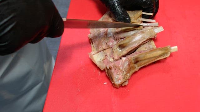 Slicing cooked ribs on a red cutting board with precision