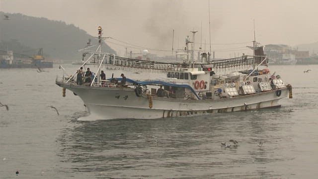 Fishing Boats Returning to the Harbor