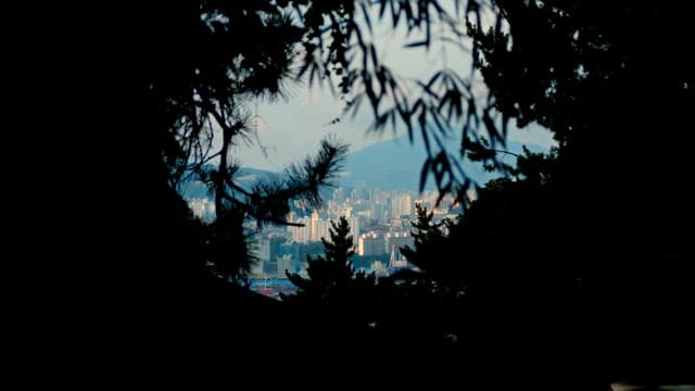 Cityscape View through the Foliage